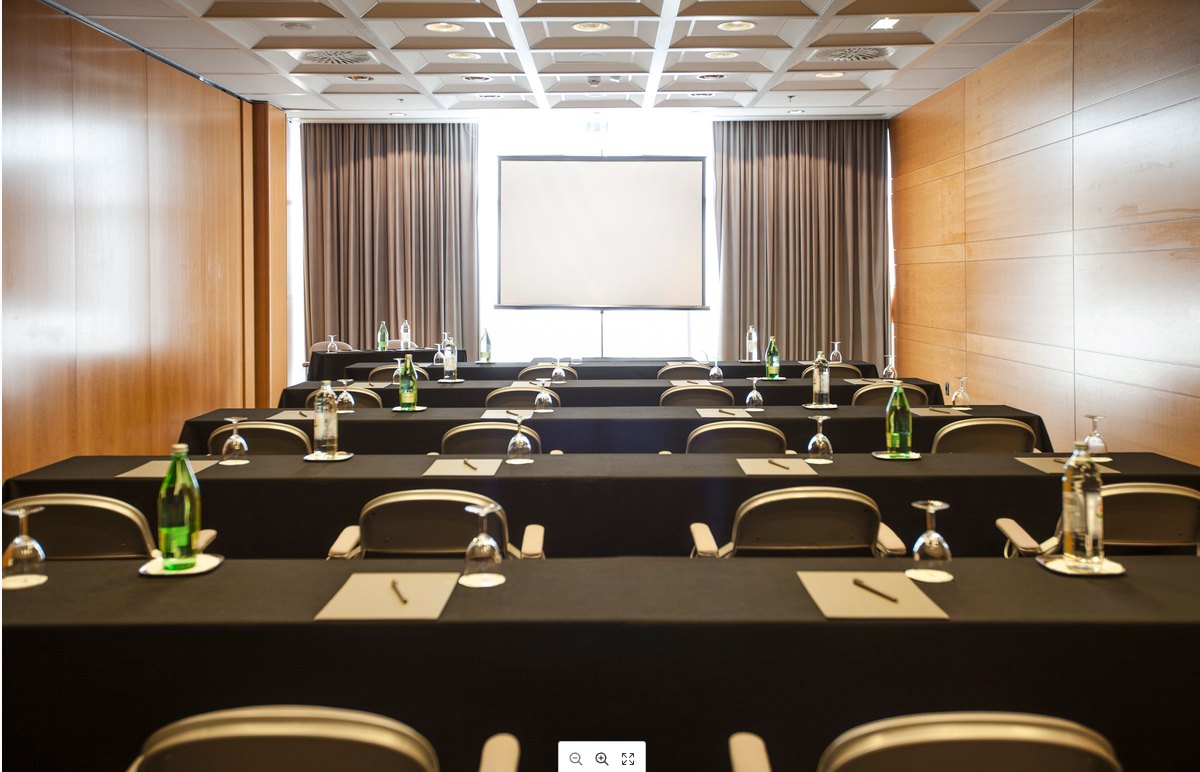 Meeting room at Dubrovnik Palace